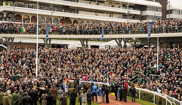 Cheltenham Jockey