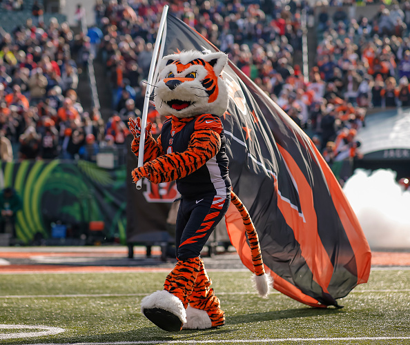 Cincinnati Bengals Uniform Change : Official twitter account of the ...