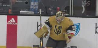 Goalie Tandems in the Pacific Division
