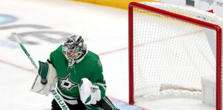 Goalie tandems in the central division
