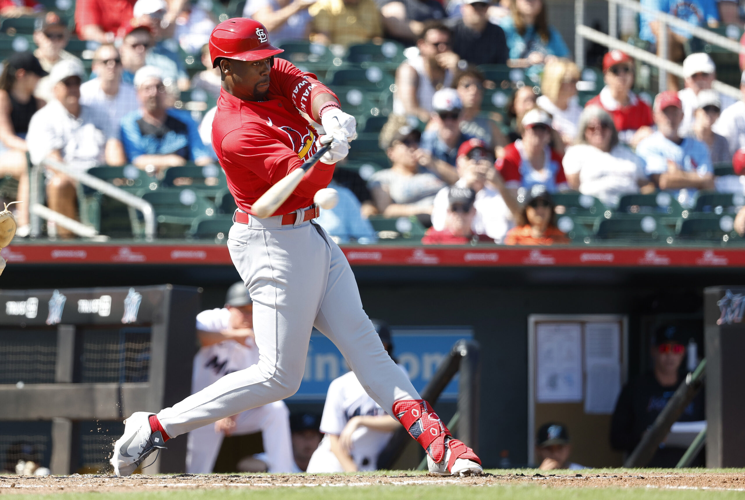 St. Louis Cardinals Prospects At Spring Training